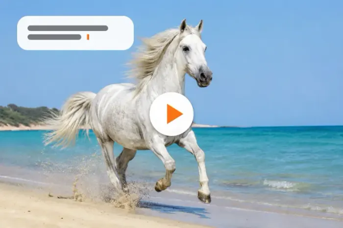 Text to Video example